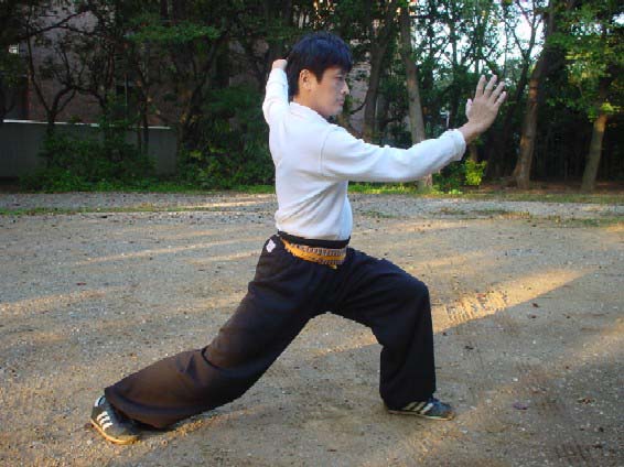 DVD 李書文の劈掛拳